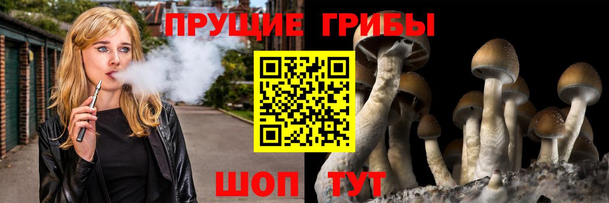 Элиста  Псилоцибиновые грибы ЛСД  Вход с VPN 